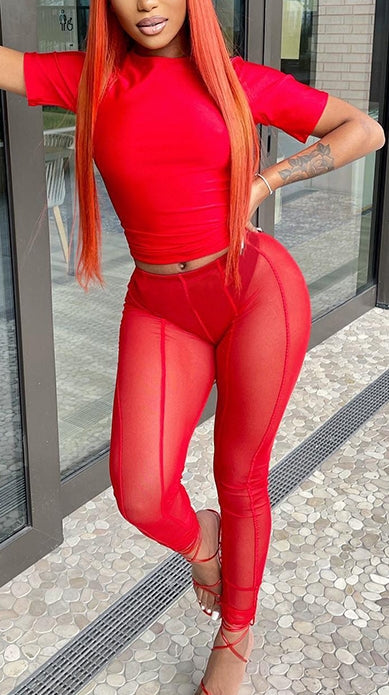 Mesh Skinny Stretch Leggings